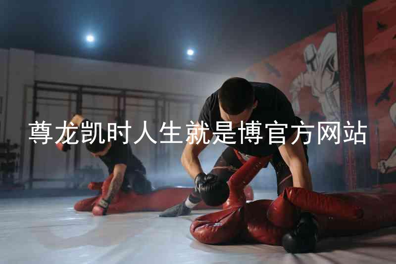 尊龙凯时人生就是博官方网站